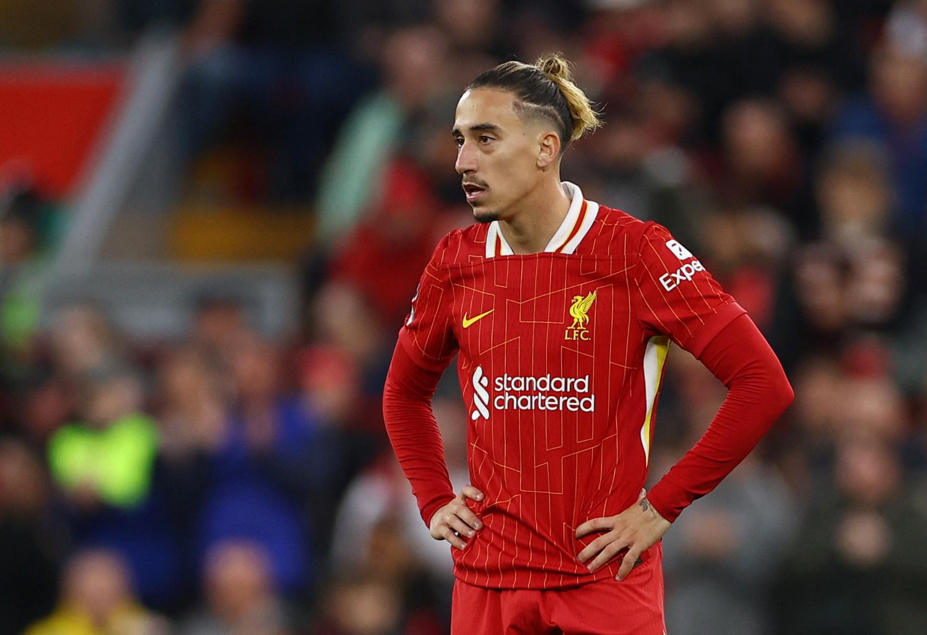 net, 再次被排除, 的兴趣