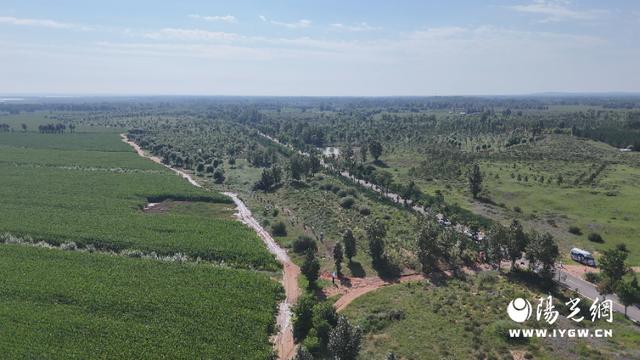 img, 个人车手窦