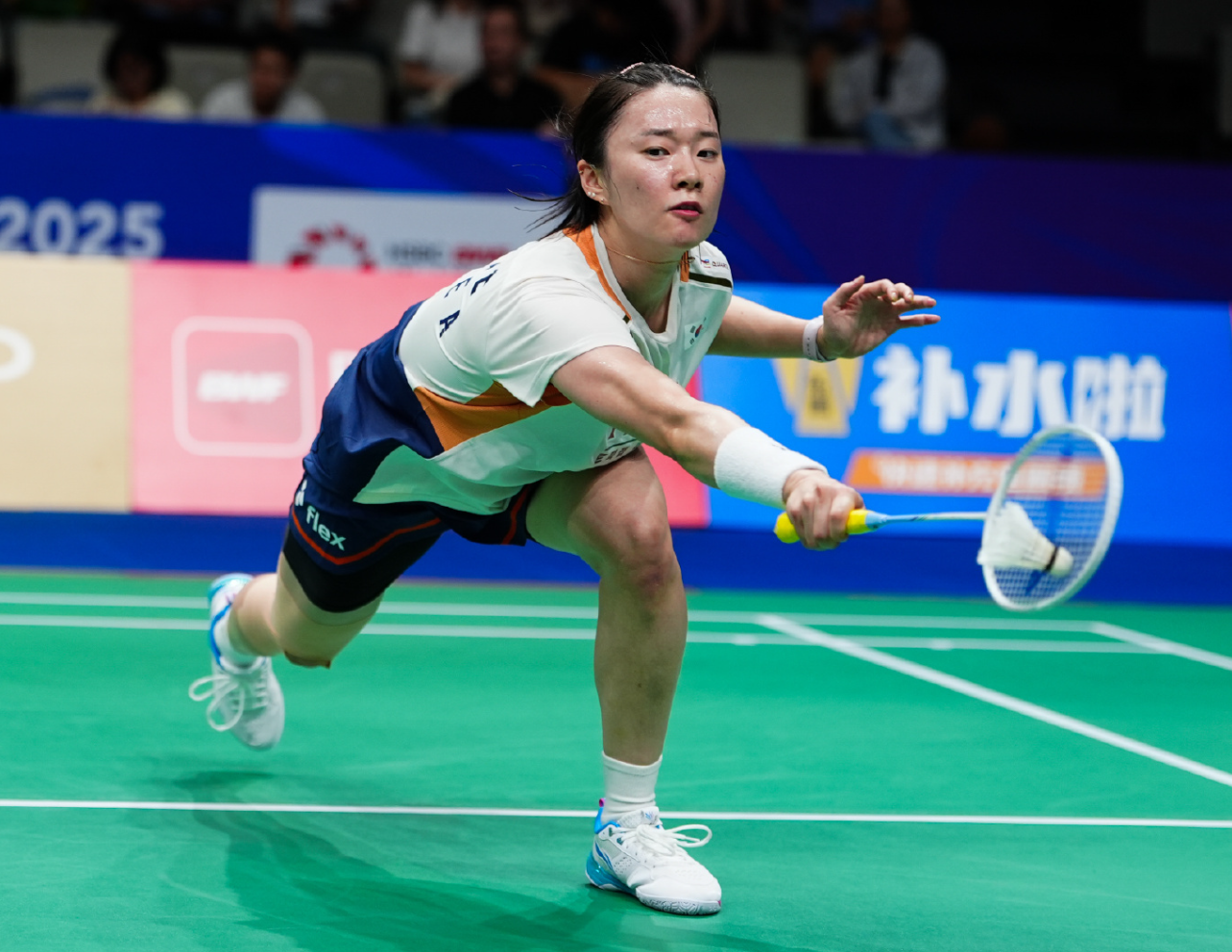 cdj, 安洗莹在半